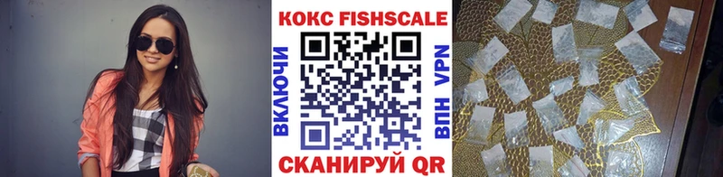 Купить где  Печора  Кокаин Fish Scale 