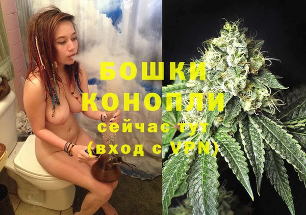 СК Вяземский